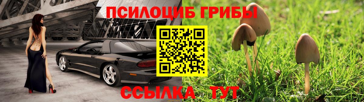 Галлюциногенные грибы ЛСД Дмитров